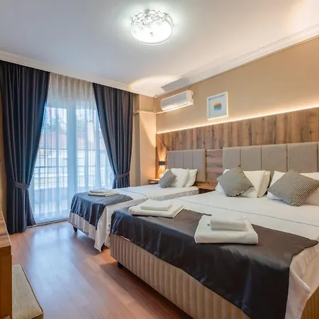 Hotel Platanus *